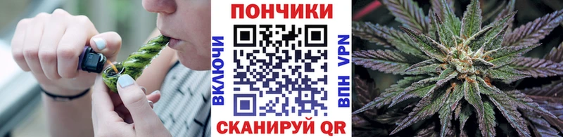 магазин продажи наркотиков  ссылка на мегу ONION  Бошки Шишки THC 21%  Ленинградская 